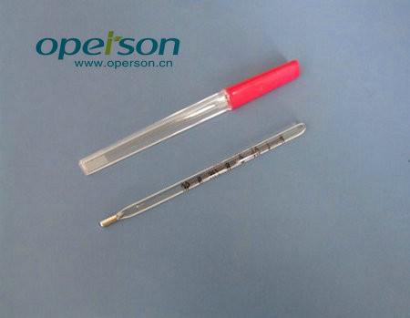 Rectal Clinical Thermometer