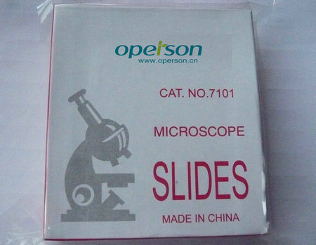 Microscope Slide